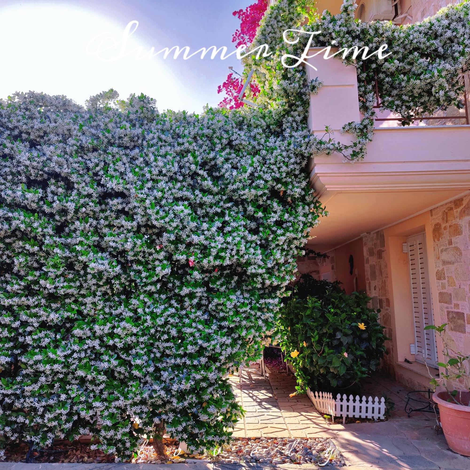 Artemis Garden Near Airport Hotel Bagian luar foto
